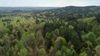 00 CR 2215 photo